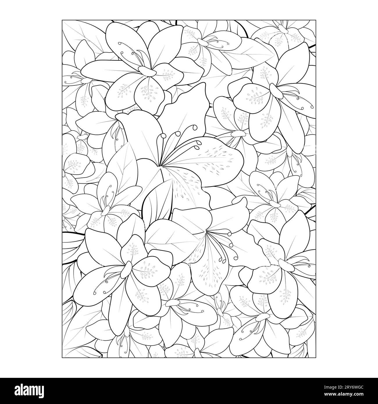 Azalea white background Stock Vector Images - Alamy