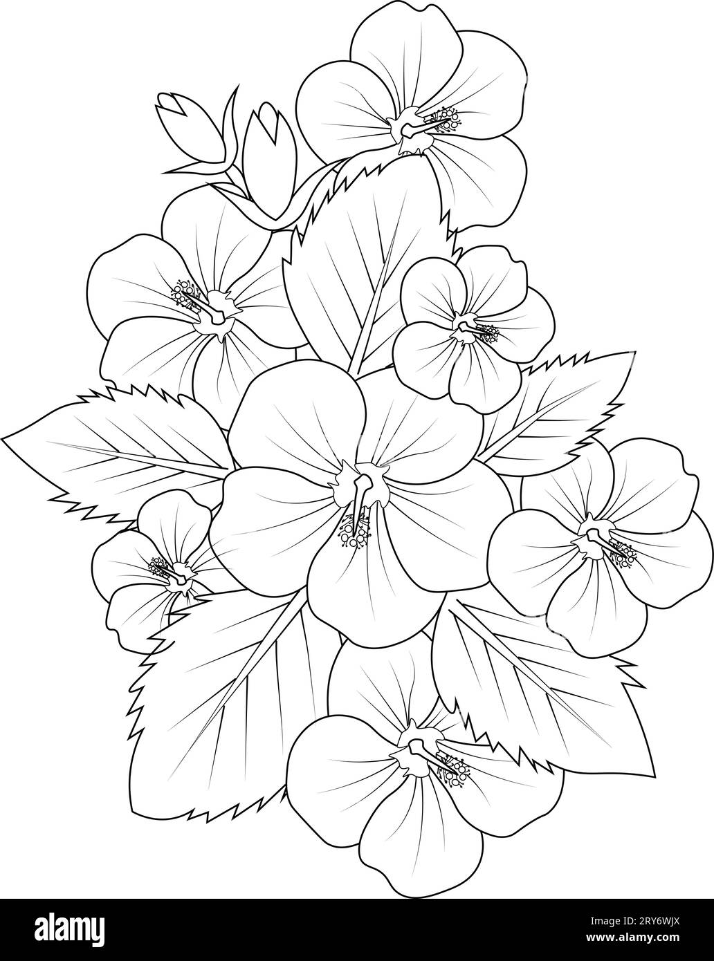 Hibiscus Flower Image (chembarathi) Stock Photo - Image of chembarathi,  flower: 246466690