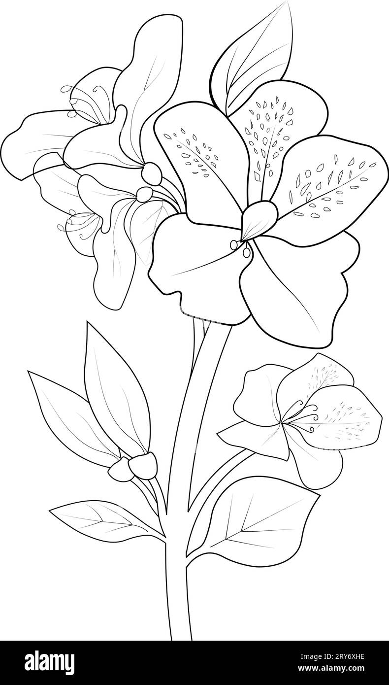 azalea flower, azalea flower tattoo in black and white. azalea flower