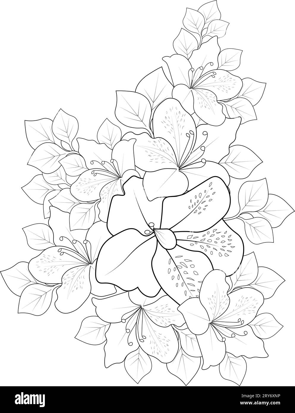 azalea line drawing, azalea flower, azalea flower tattoo black and