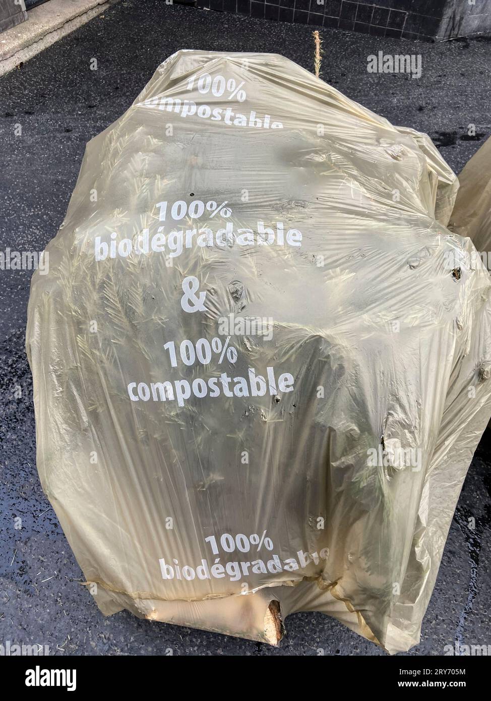 DISPOSE YOUR CHRISTMAS TREE IN PARIS Stock Photo