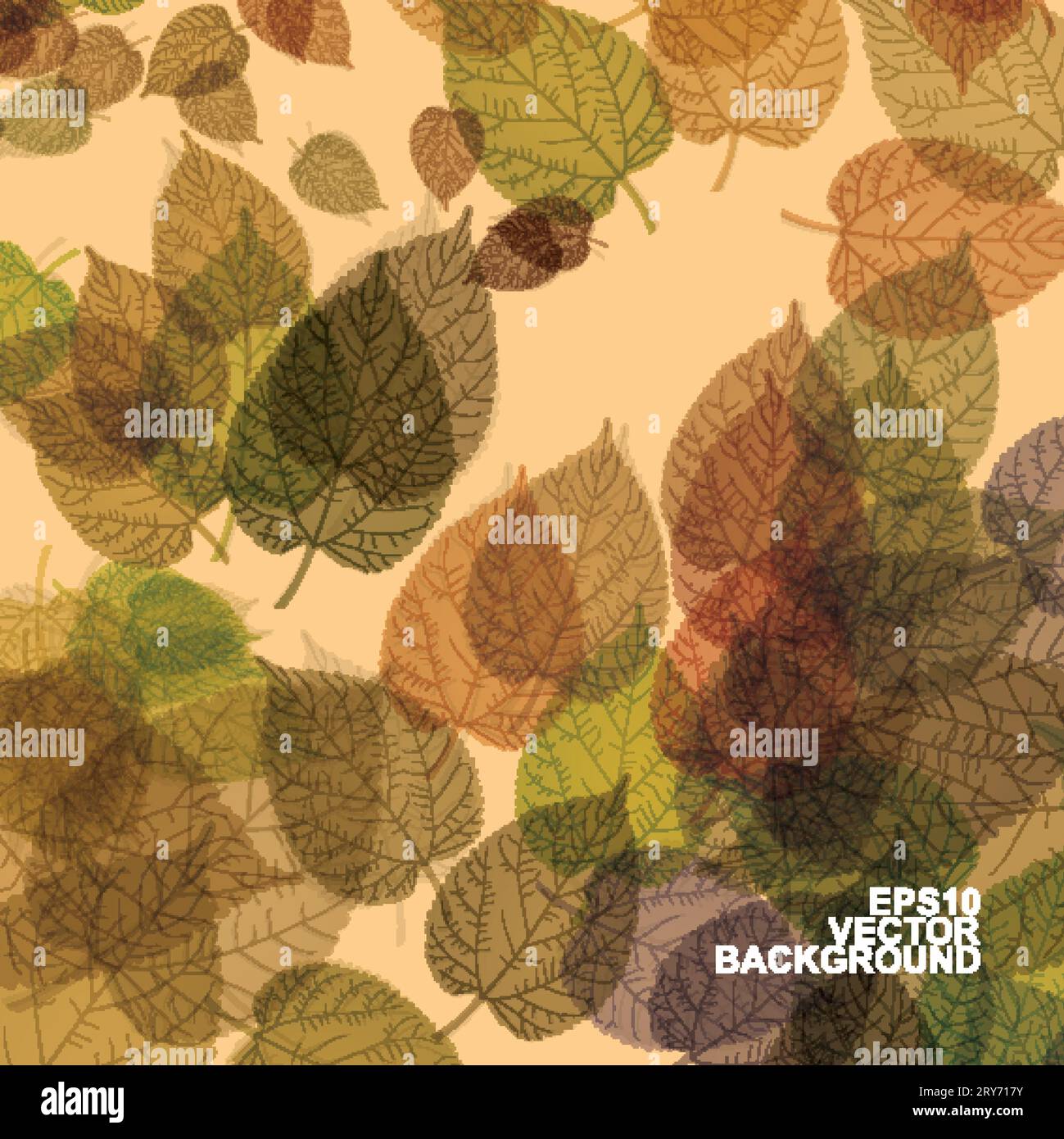 Colorful Autumn Leaves Background Stock Vector
