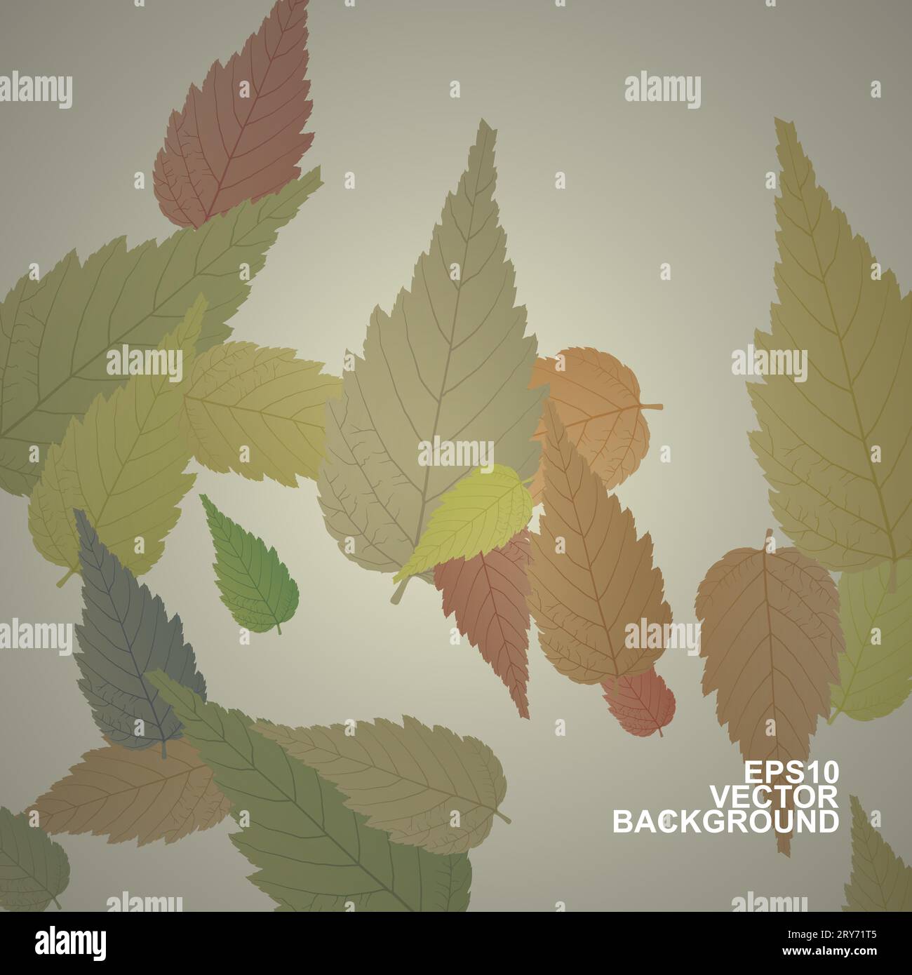 Back light leaves Stock Vector Images - Alamy