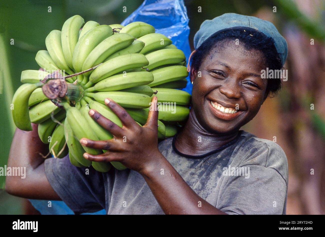 Ghana, Volta-region - Woman has just harvested a bunch of bananas on the Fair Trade plantation of OKE -bananas for export to Europe. Stock Photo