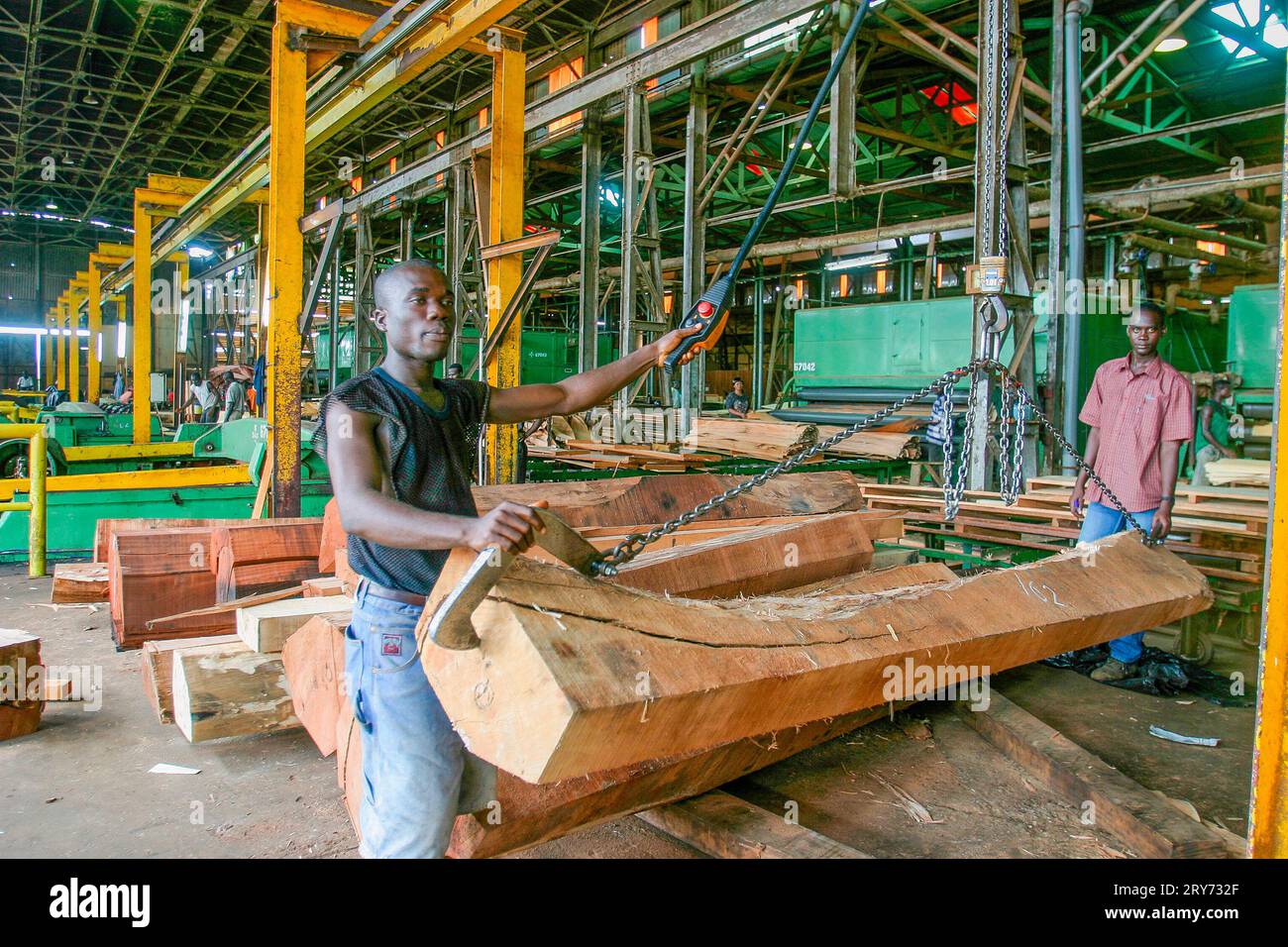 Ghana, Takoradi.Transport of big treetrunk to the peeling machine for