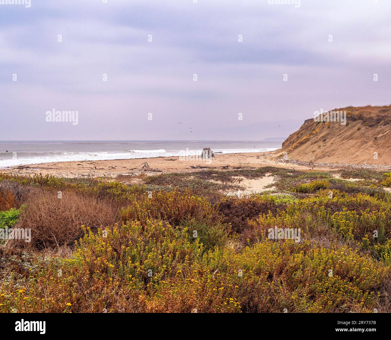 Pacific ocean view at Jalama Beach in Lompoc, CA. Stock Photo