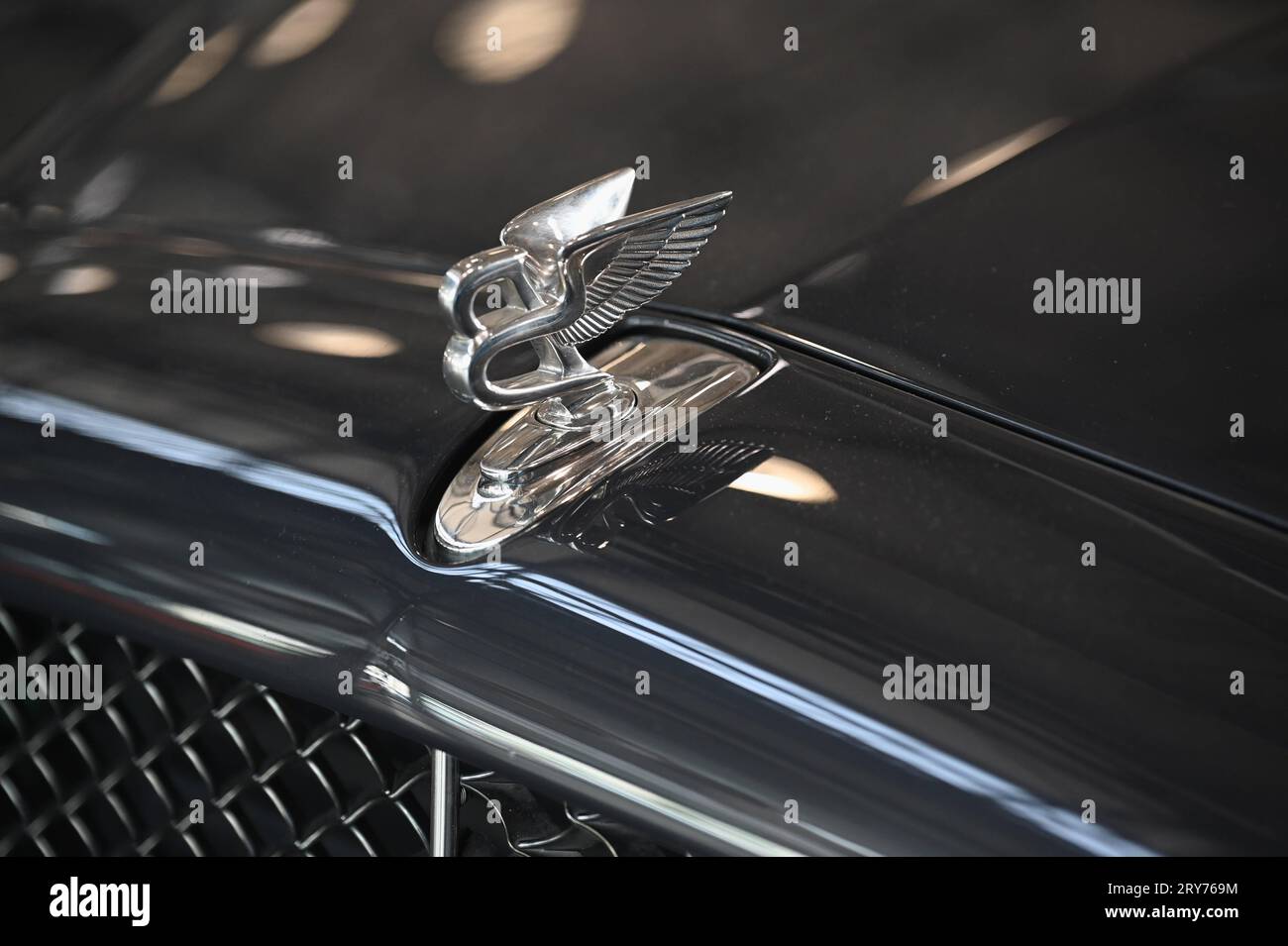 Logo, Markenlogo Kühlerfigur des britischen Automobilhersteller Bentey auf  einem Luxus PKW Das Unternehmen gehört seit 1998 der Volkswagen AG. *** Logo,  brand logo radiator mascot of the British car manufacturer Bentey on, image size:1300x955