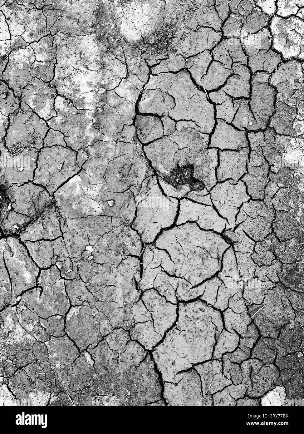 dried mud blakeney norfolk england Stock Photo