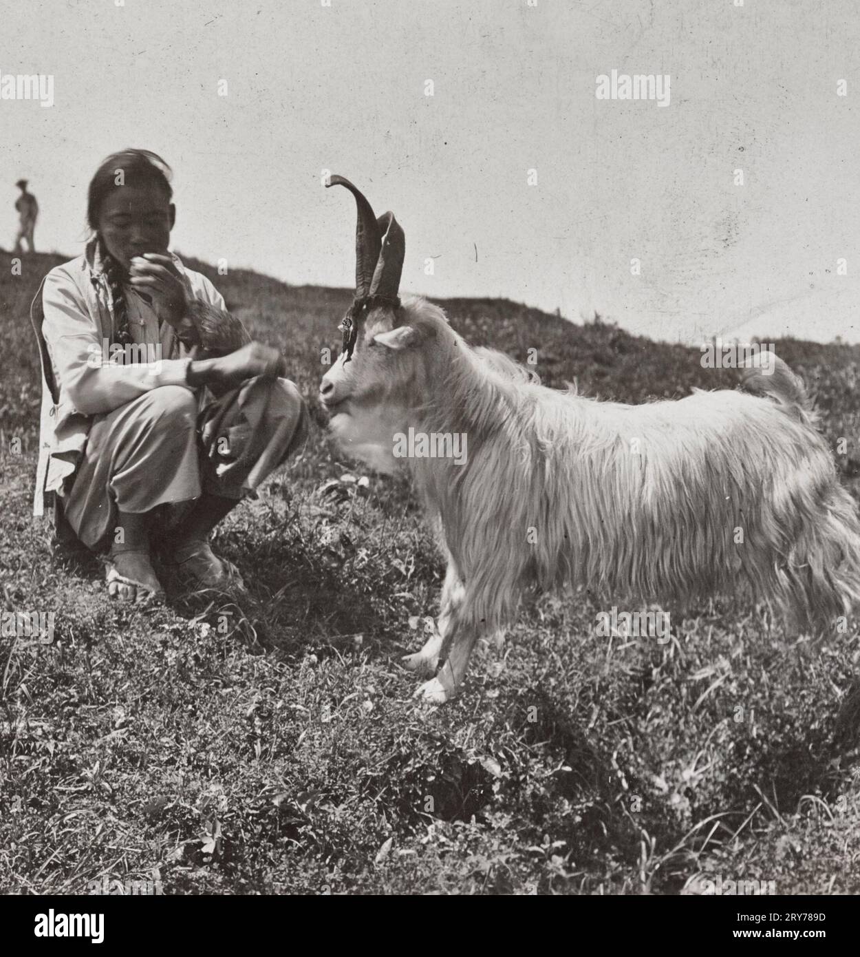 The Chinaman and his friend the goat, just outside Nanking, China, 1906 Stock Photo