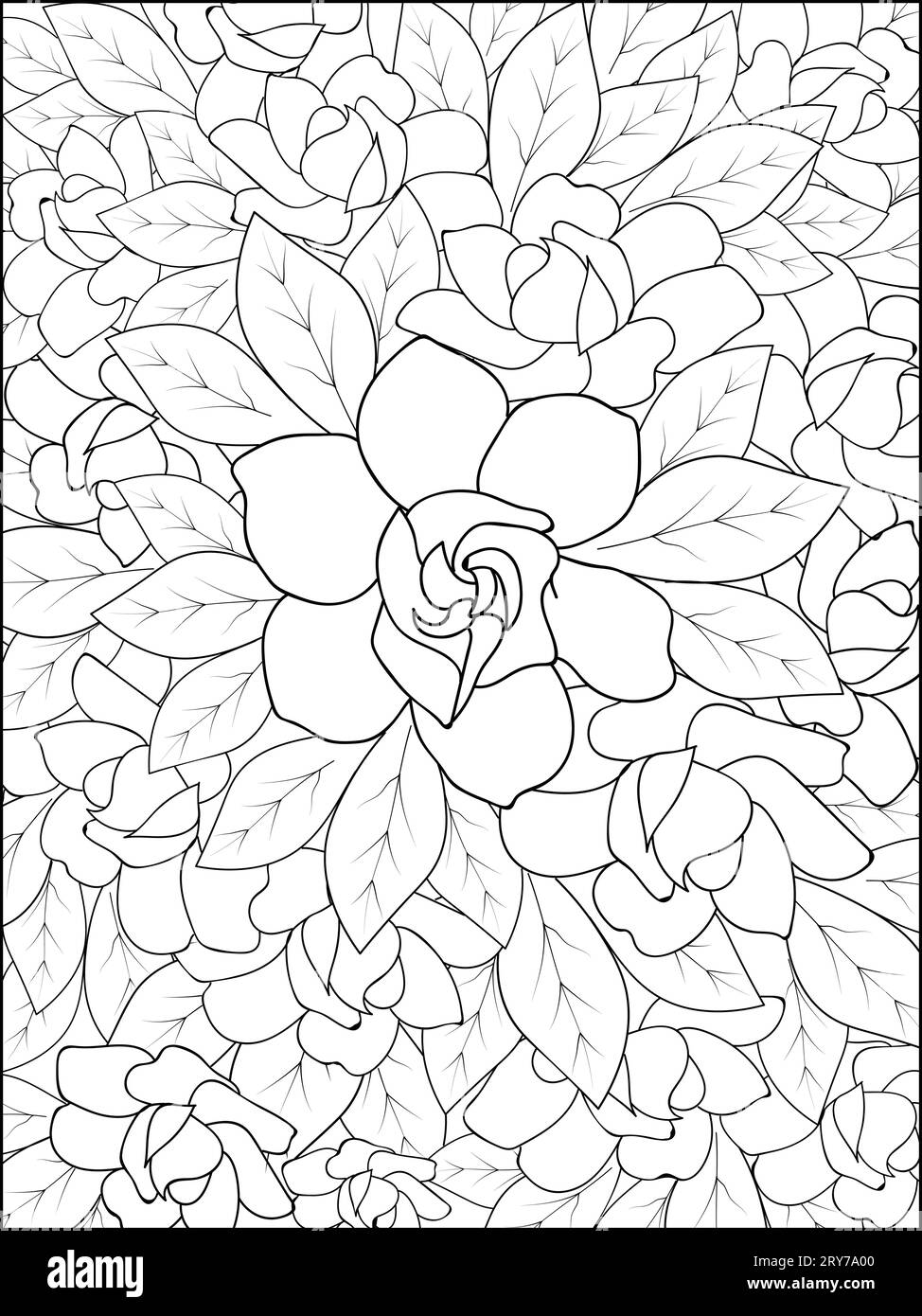 gardenia flower drawing, gardenia magnolia coloring pages easy gardenia