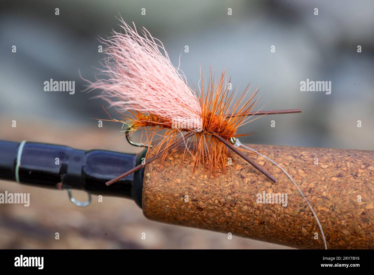 Golden Stonefly Dry Fly for Fishing Stock Photo