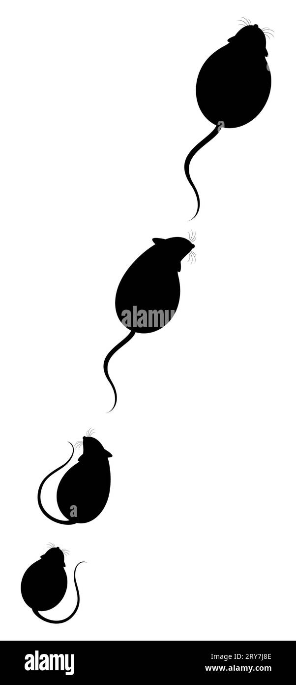 Lovely fluffy mice Stock Photo - Alamy