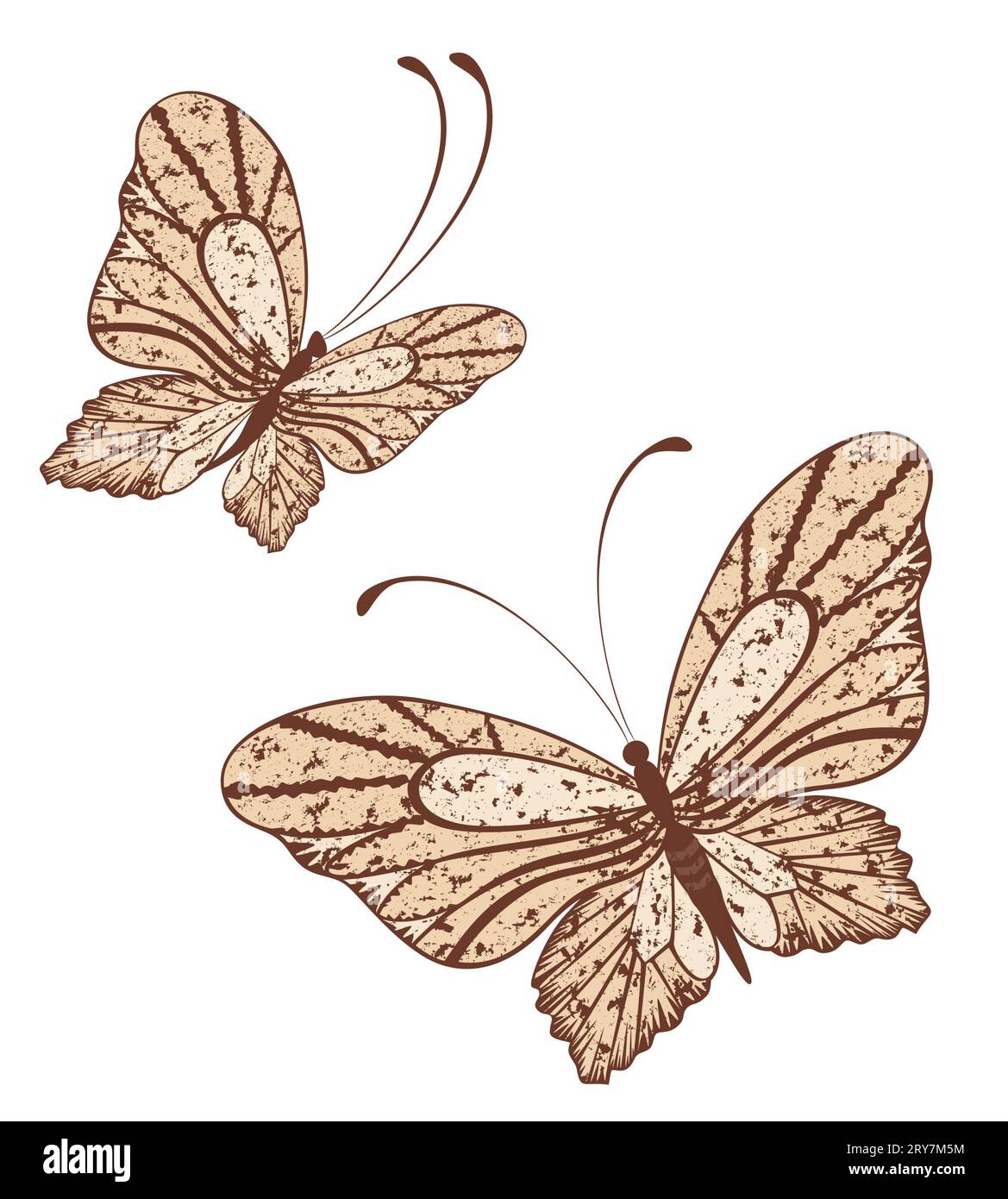 Protect butterflies Cut Out Stock Images & Pictures - Alamy