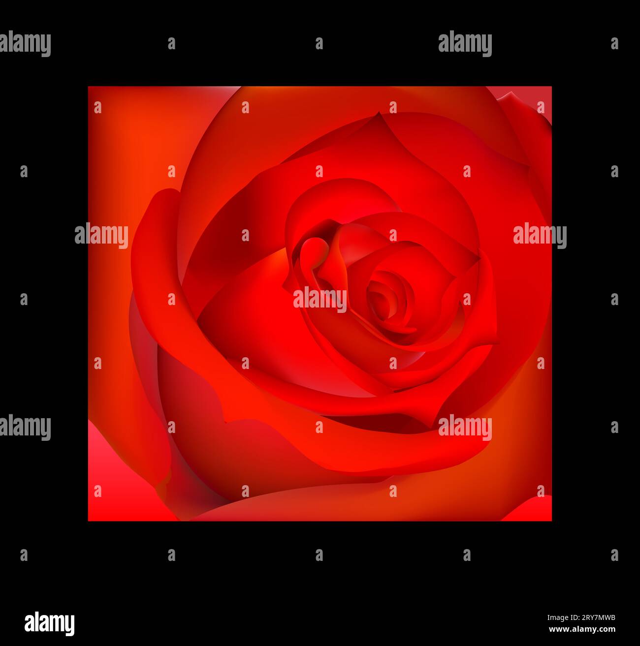 Red rose design hi-res stock photography and images - Alamy