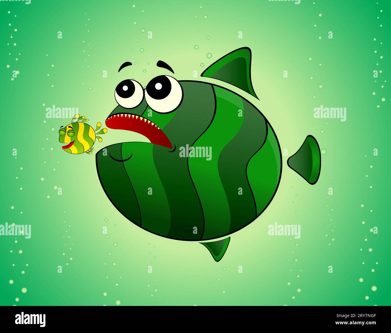 Fish layout hi-res stock photography and images - Alamy