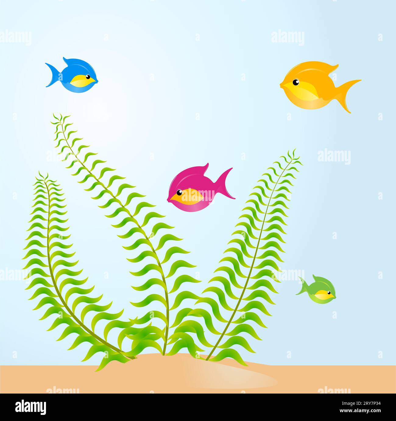 Set aquarium fish hi-res stock photography and images - Alamy