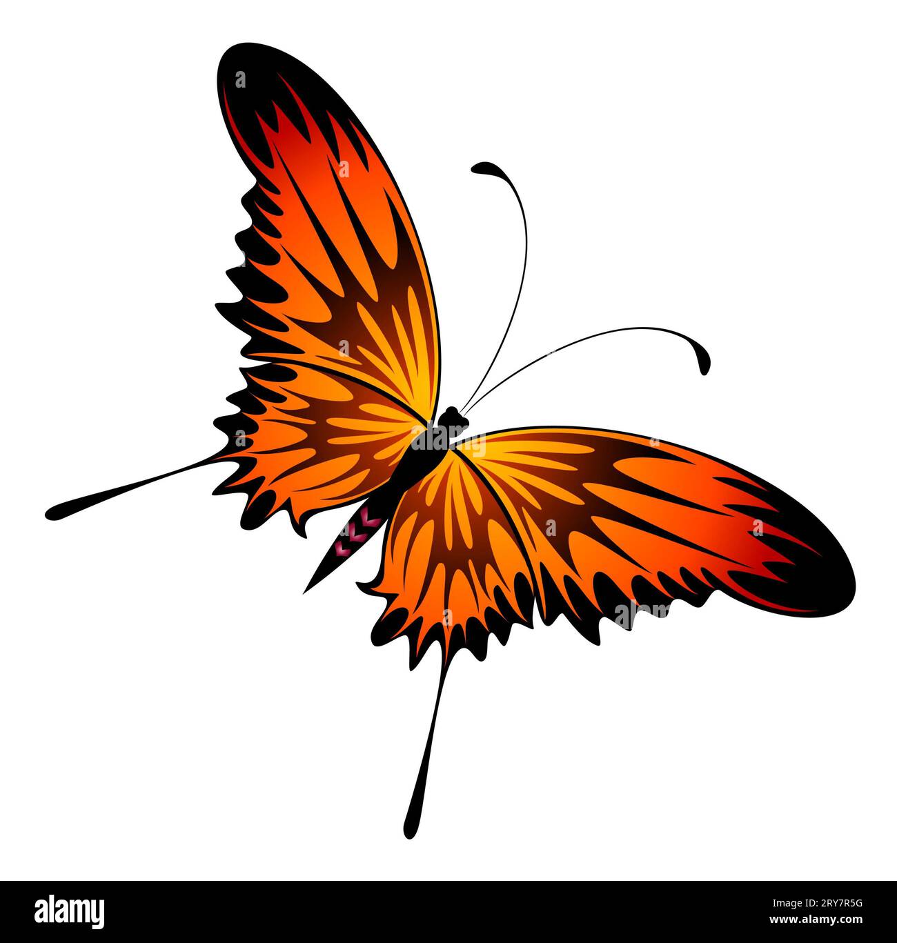 Butterfly wings silhouette hi-res stock photography and images - Alamy