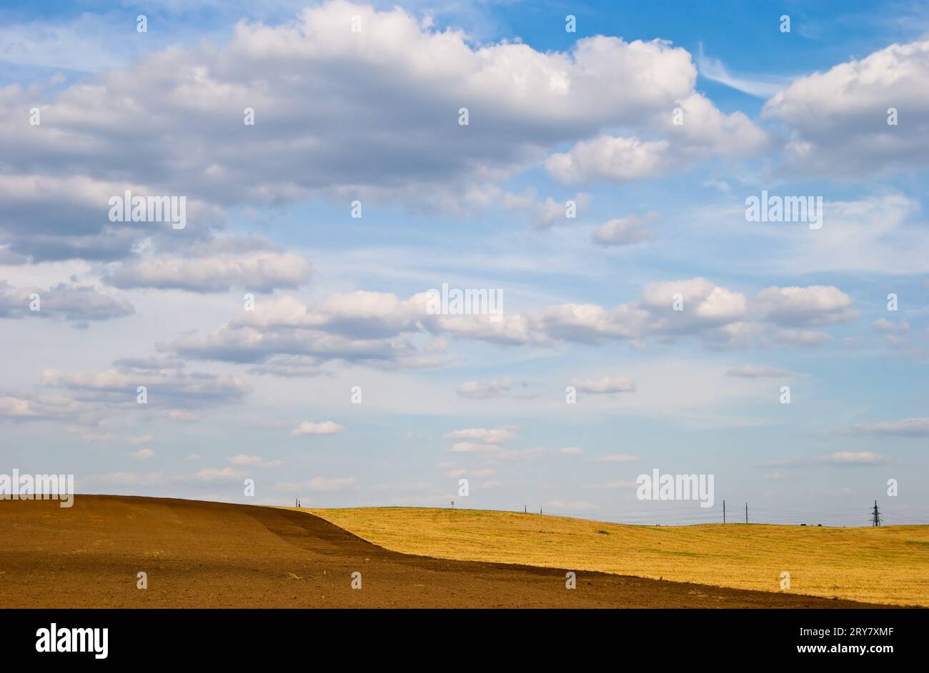 Field after harvesting Stock Photo - Alamy