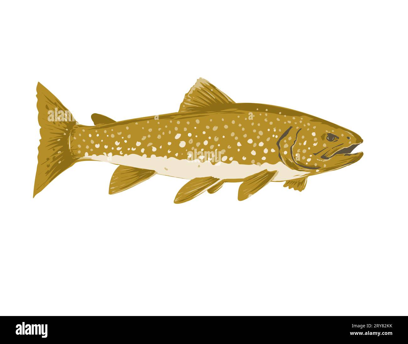 WPA poster art of a lake trout, Salvelinus namaycush, mackinaw, namaycush or lake char viewed from side done in works project administration style or Stock Photo