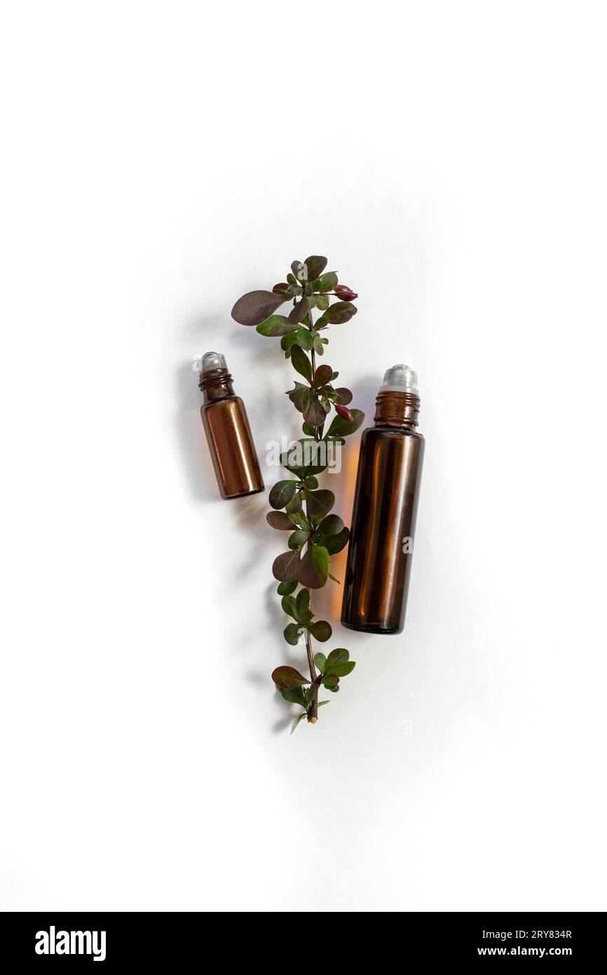 Essential oil roll on bottles next to a Berberis thunbergii 'Atropurpurea' branch, on white background Stock Photo
