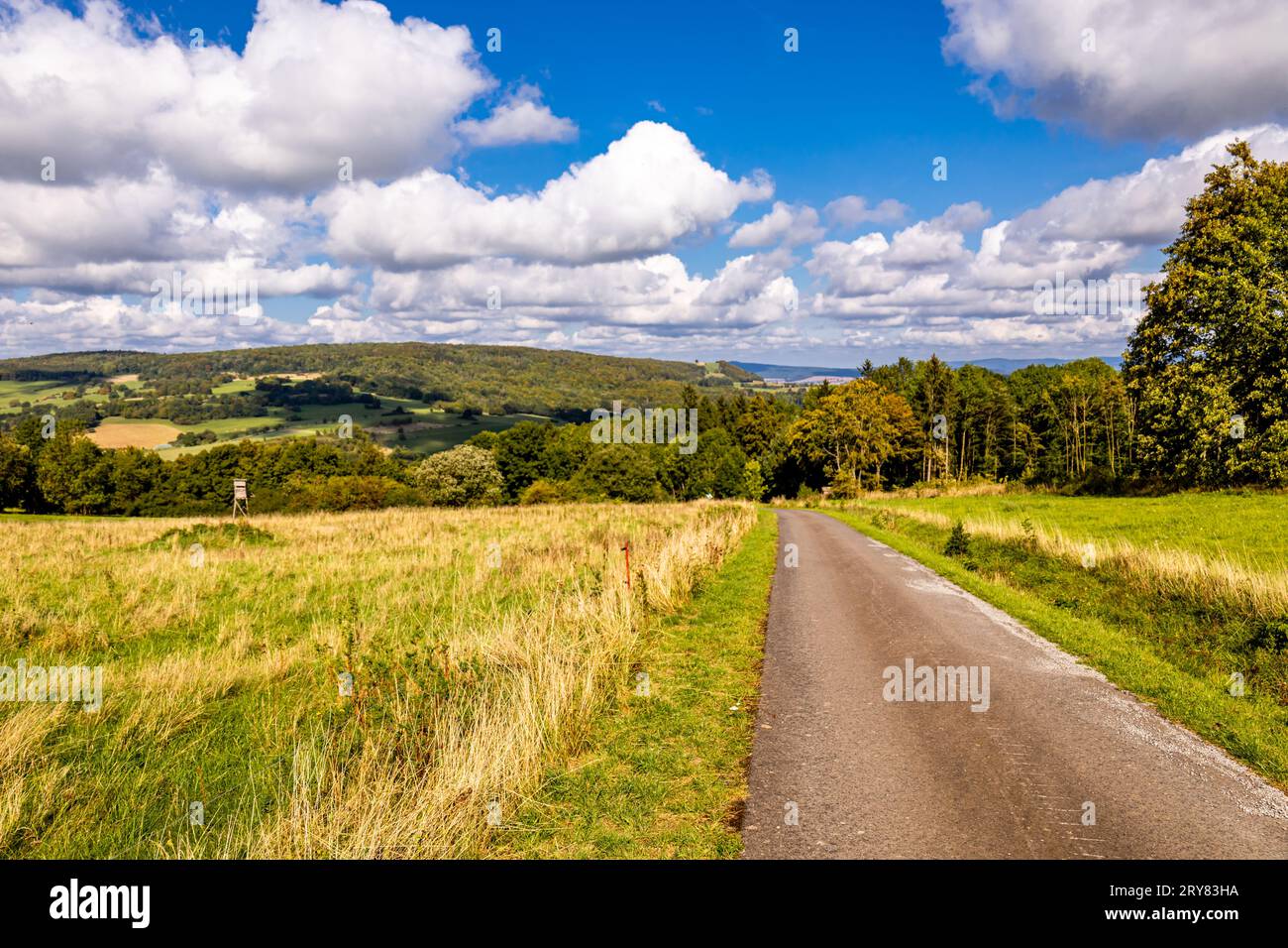 Beautiful hike through southern Thuringia around the Hohe Geba near ...