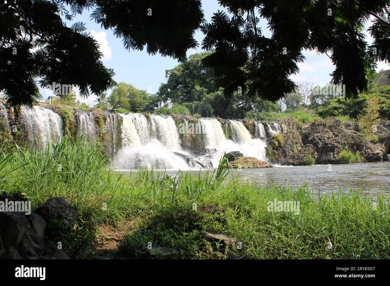 Beautiful Natural waterfall Papantla Veracruz Stock Photo