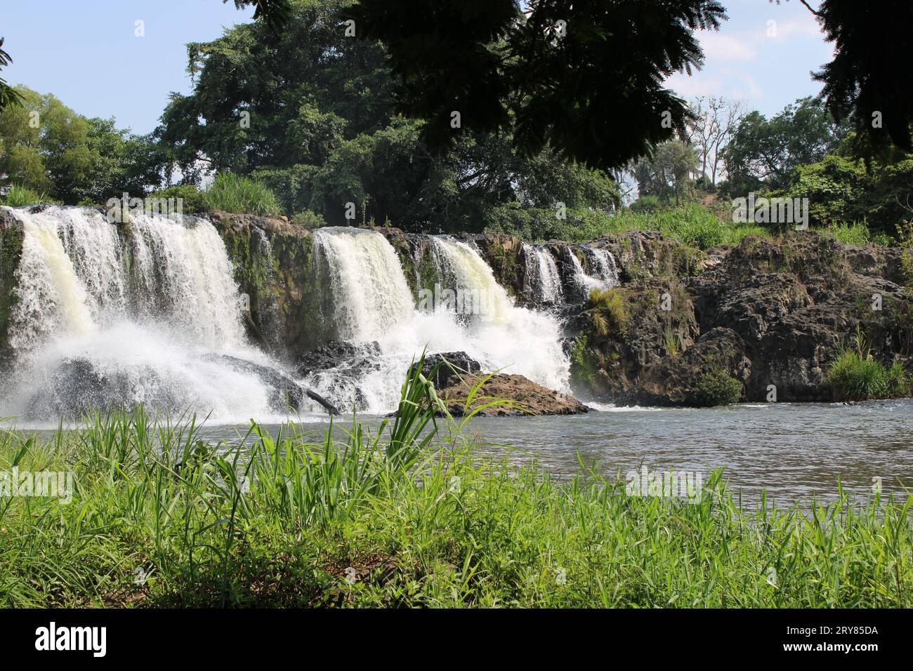 Beautiful Natural waterfall Papantla Veracruz Stock Photo