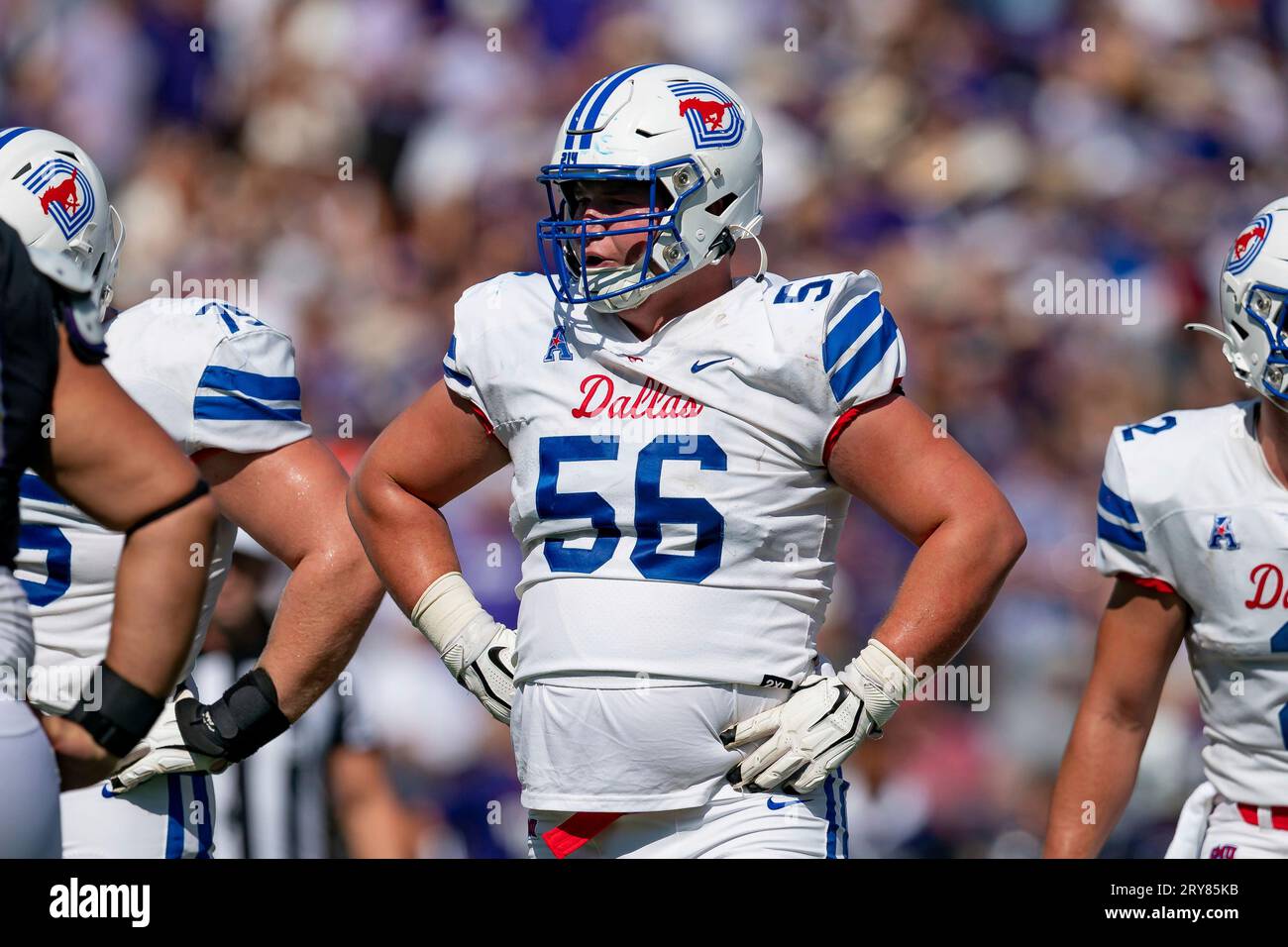 FORT WORTH, TX - SEPTEMBER 23: Southern Methodist Mustangs offensive  lineman Branson Hickman (56) waits for the play call during a college  football game between Southern Methodist Mustangs and TCU Horned Frogs