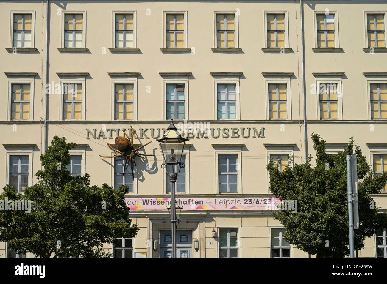 Naturkundemuseum, Lortzingstraße, Leipzig, Sachsen, Deutschland