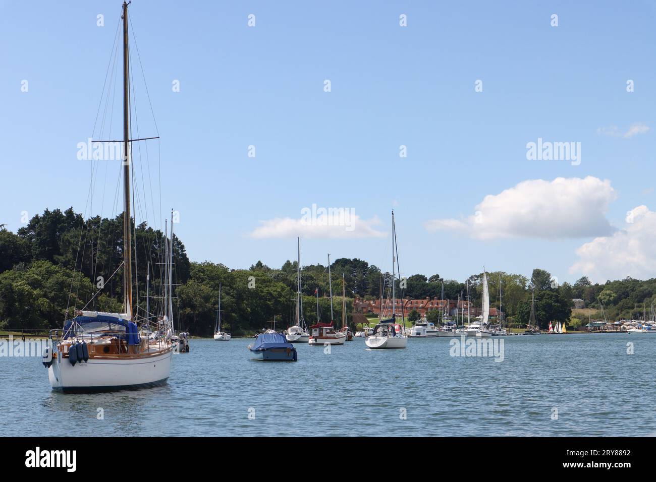 The new forest hamphire uk hi-res stock photography and images - Alamy
