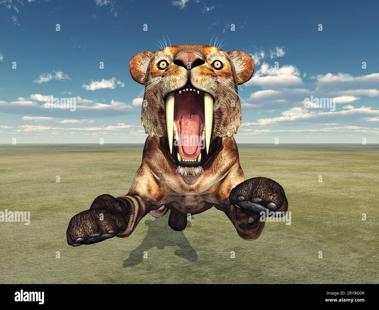 Saber-Toothed Cat Smilodon Stock Photo - Alamy