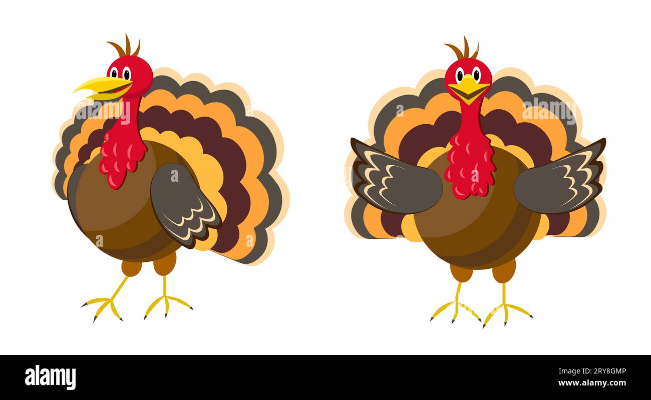 Turkey on a white background Stock Vector Image & Art - Alamy