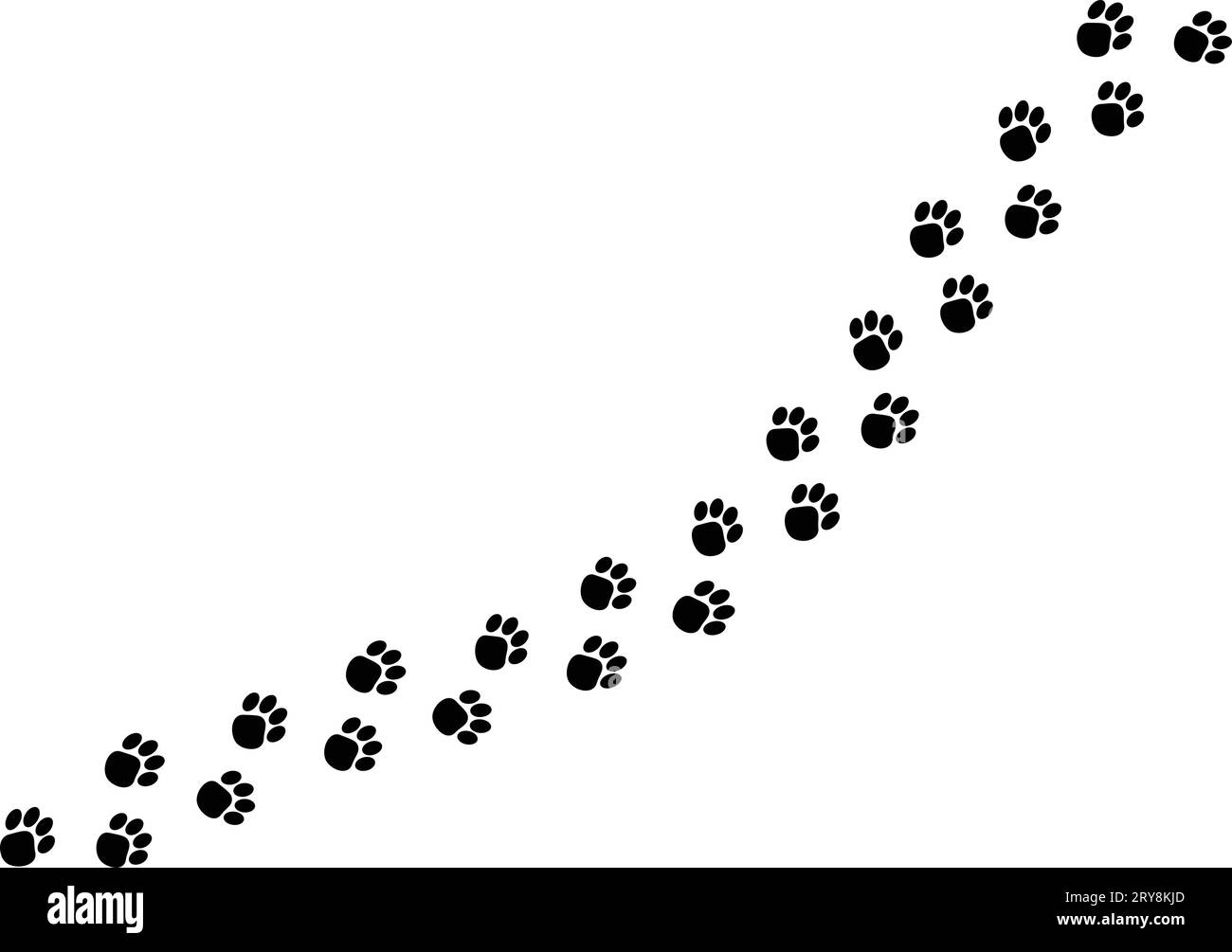 walking animal cat dog footprints tracks pattern brush vector illustration Stock Vector