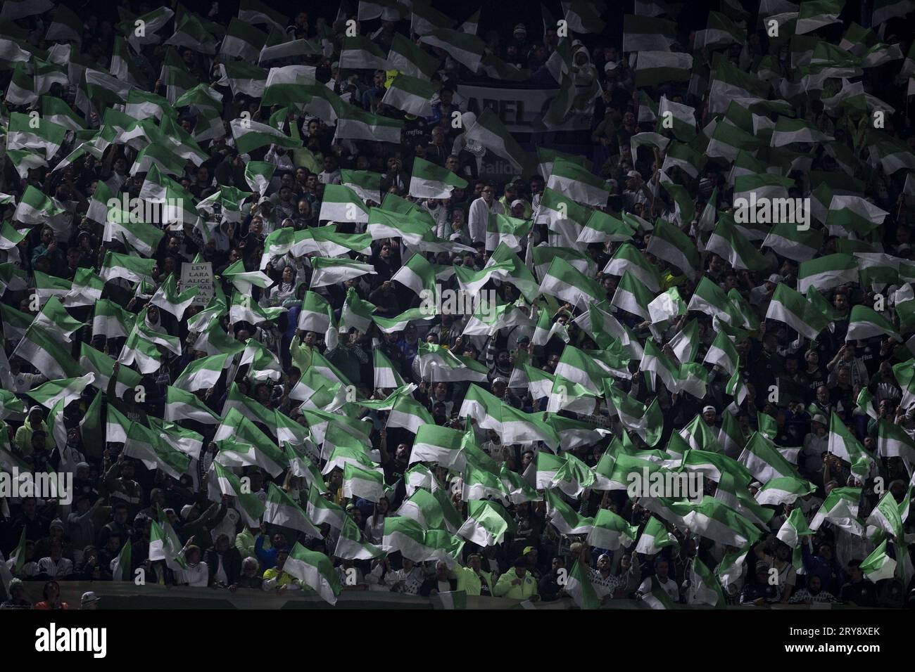 Buenos Aires, Argentina. 11th Mar, 2023. BUENOS AIRES, ARGENTINA - SEPTEMBER 28: Supporter of Team Palmeiras with flags during the match between Boca Juniors and Palmeiras as part of semi-finals of the CONMEBOL Libertadores at Alberto J. Armando Stadium (La Bombonera) on September 28, 2023 in Buenos Aires, Argentina. (Photo by Marco Galvao/Pximages) Credit: Px Images/Alamy Live News Stock Photo