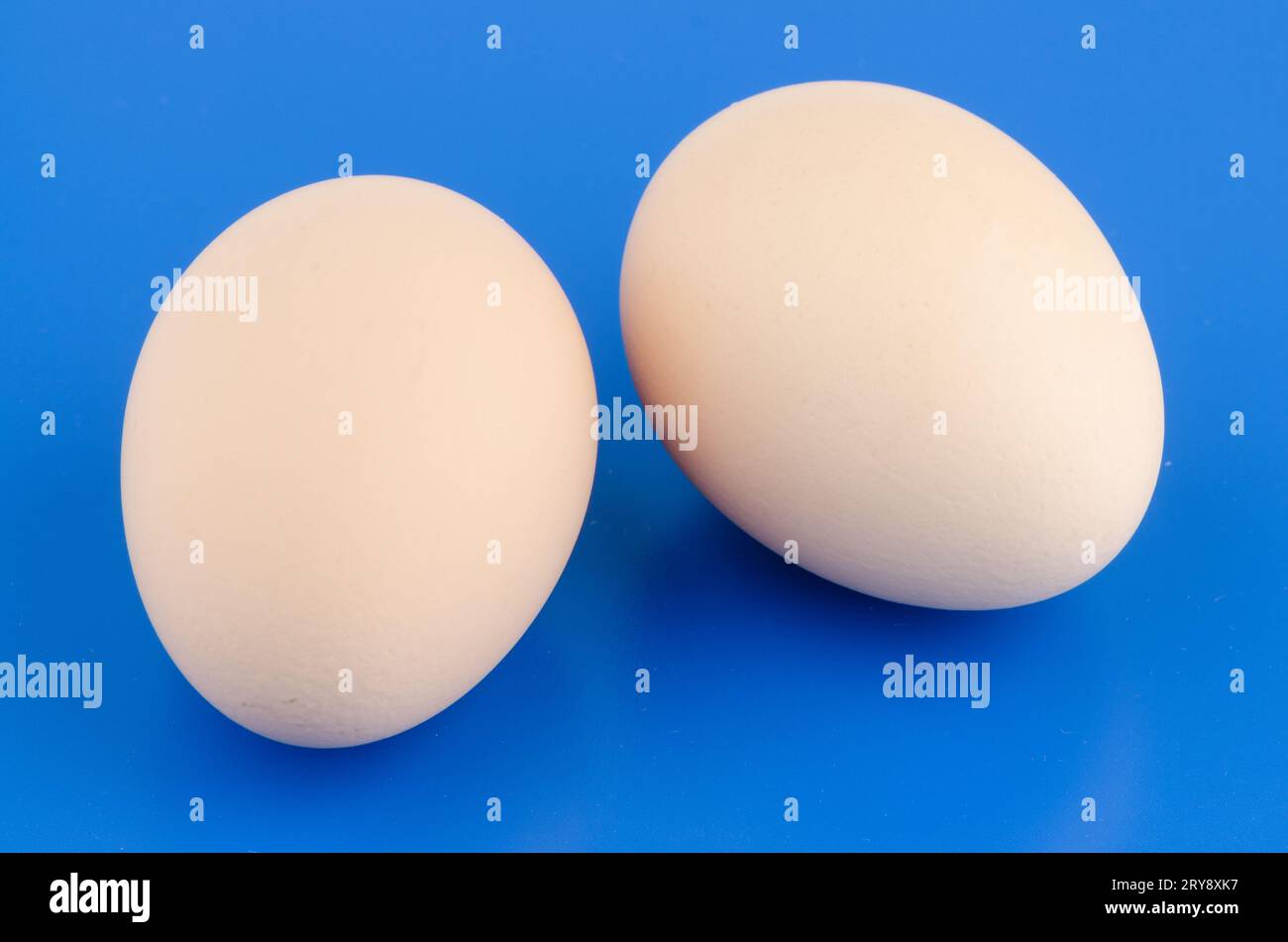 Eggshell blue hi-res stock photography and images - Alamy
