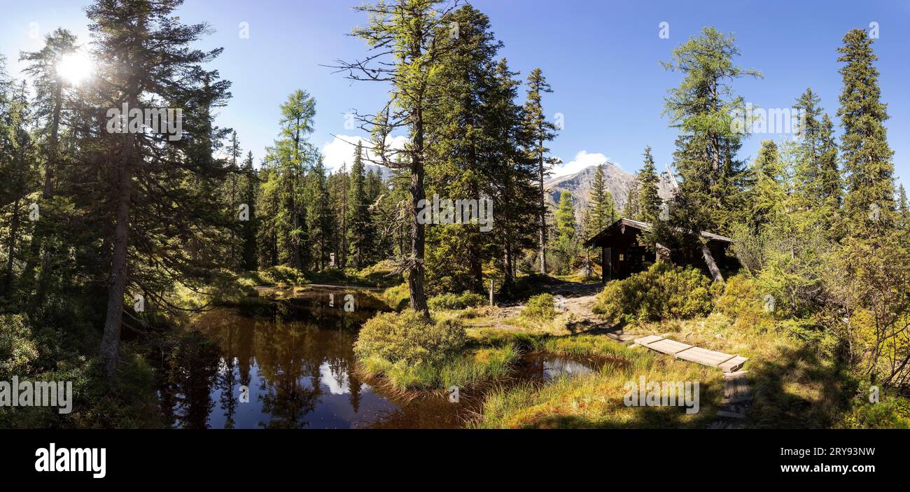 Moor pond on the nature adventure trail through the Rauris primeval forest, Kolm Saigurn, Rauriser Tal, Rauris, Hohe Tauern National Park, Pinzgau Stock Photo