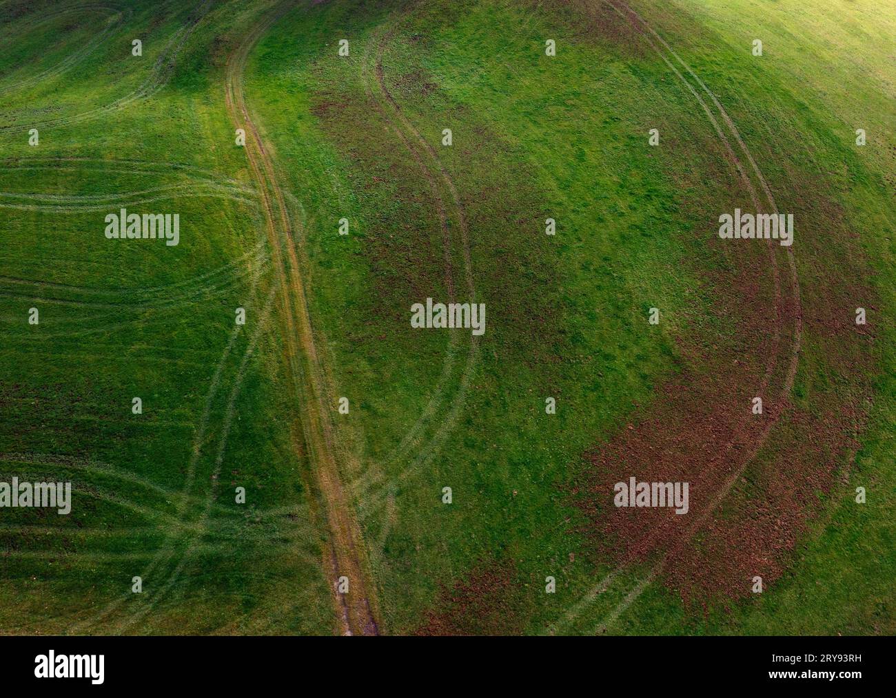 Drone shot, meadow path runs through a meadow with ruts, Mondseeland, Salzkammergut, Upper Austria, Austria Stock Photo