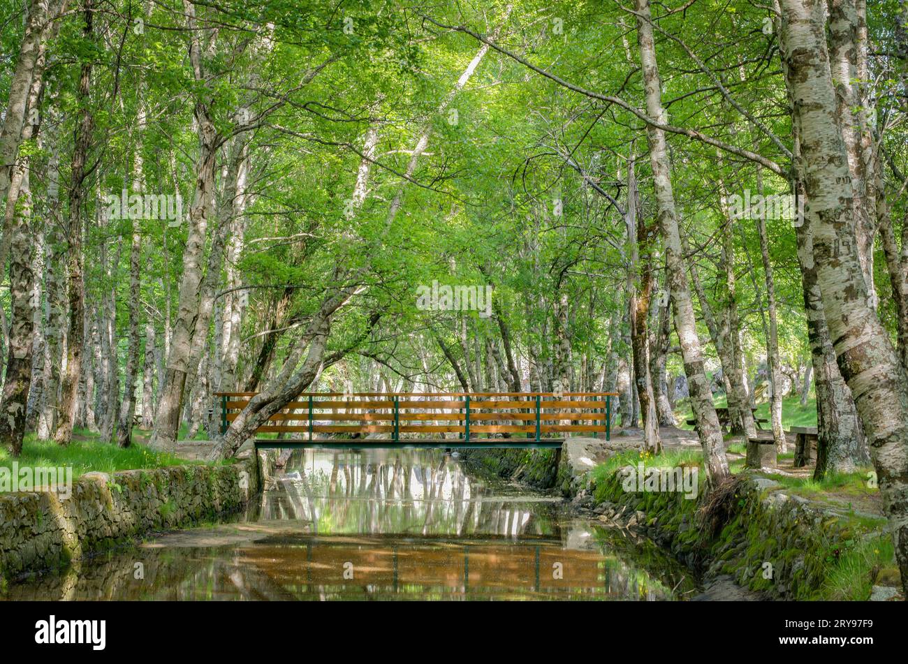 Park Natural serra Estrela - Portugal Stock Photo