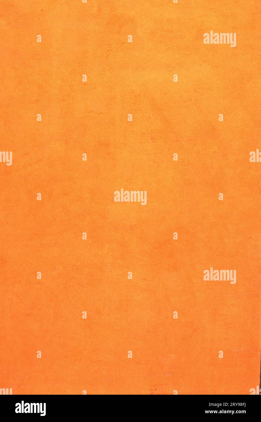 Vivid orange backdrop hi-res stock photography and images - Alamy