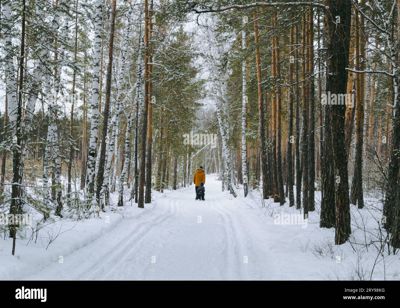 Father son on sledge hi-res stock photography and images - Alamy