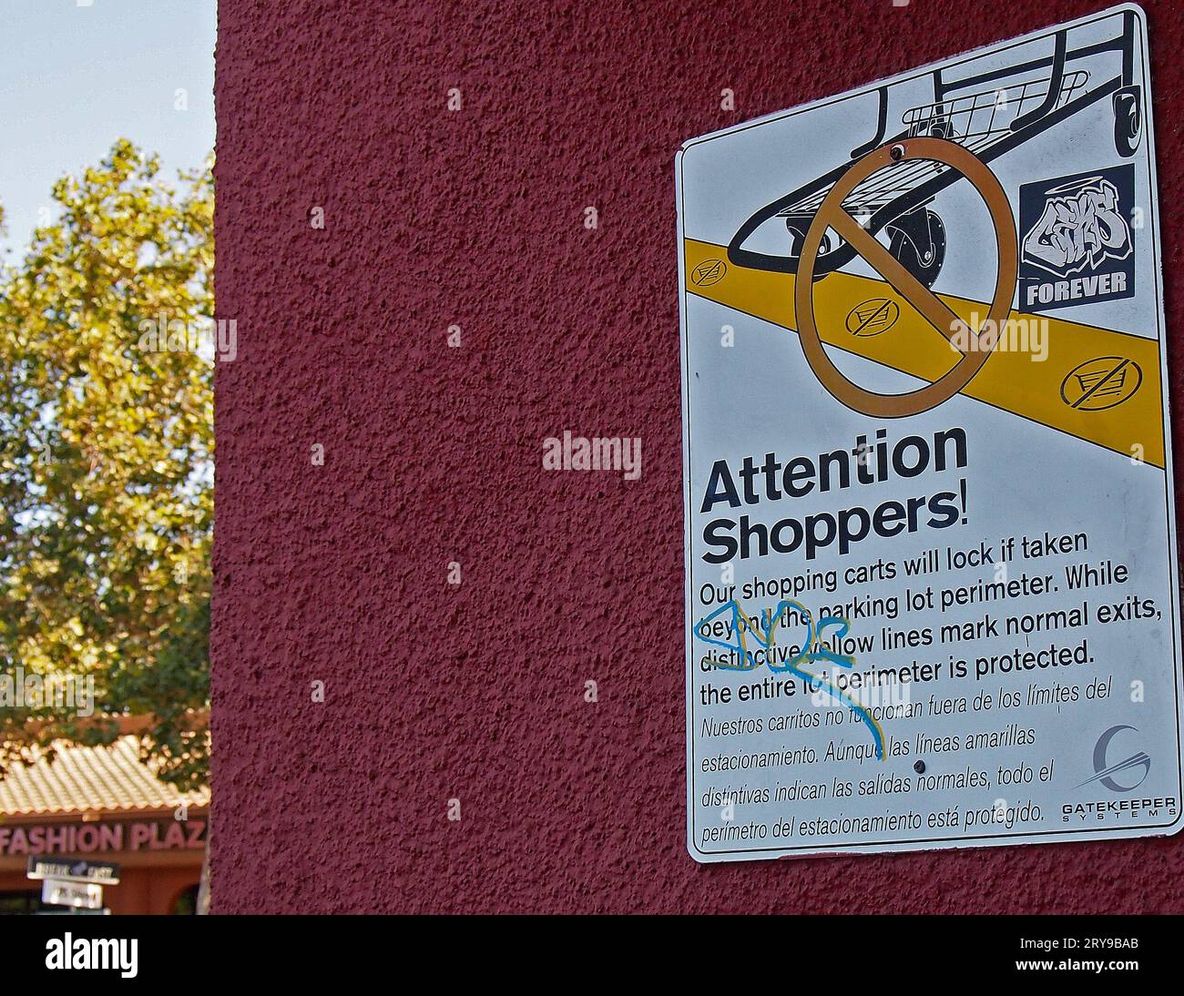 Attention Shoppers locking shopping carts notice in English and Spanish