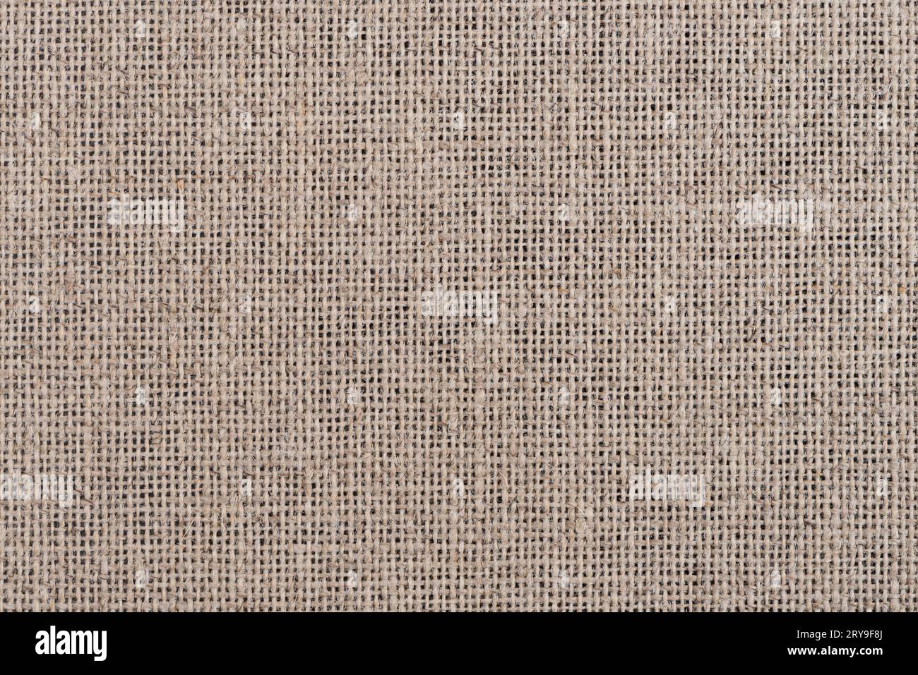 Fibrous textures hi-res stock photography and images - Alamy