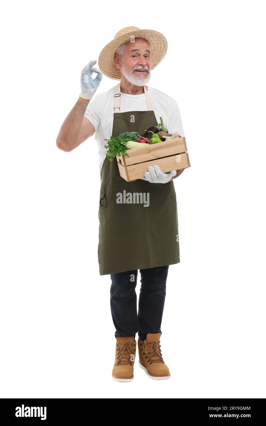 Harvesting season. Happy farmer holding wooden crate with vegetables ...