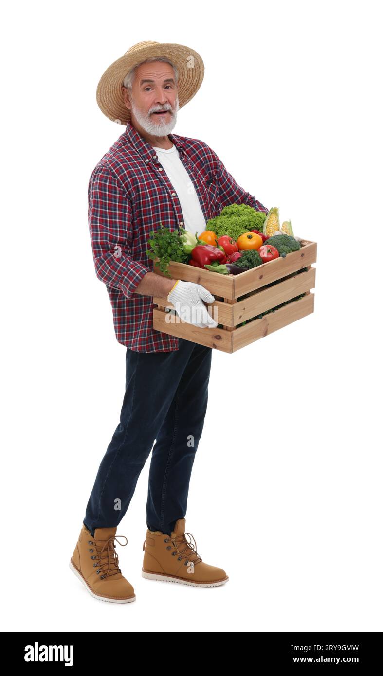 Harvesting season. Farmer holding wooden crate with vegetables on white ...