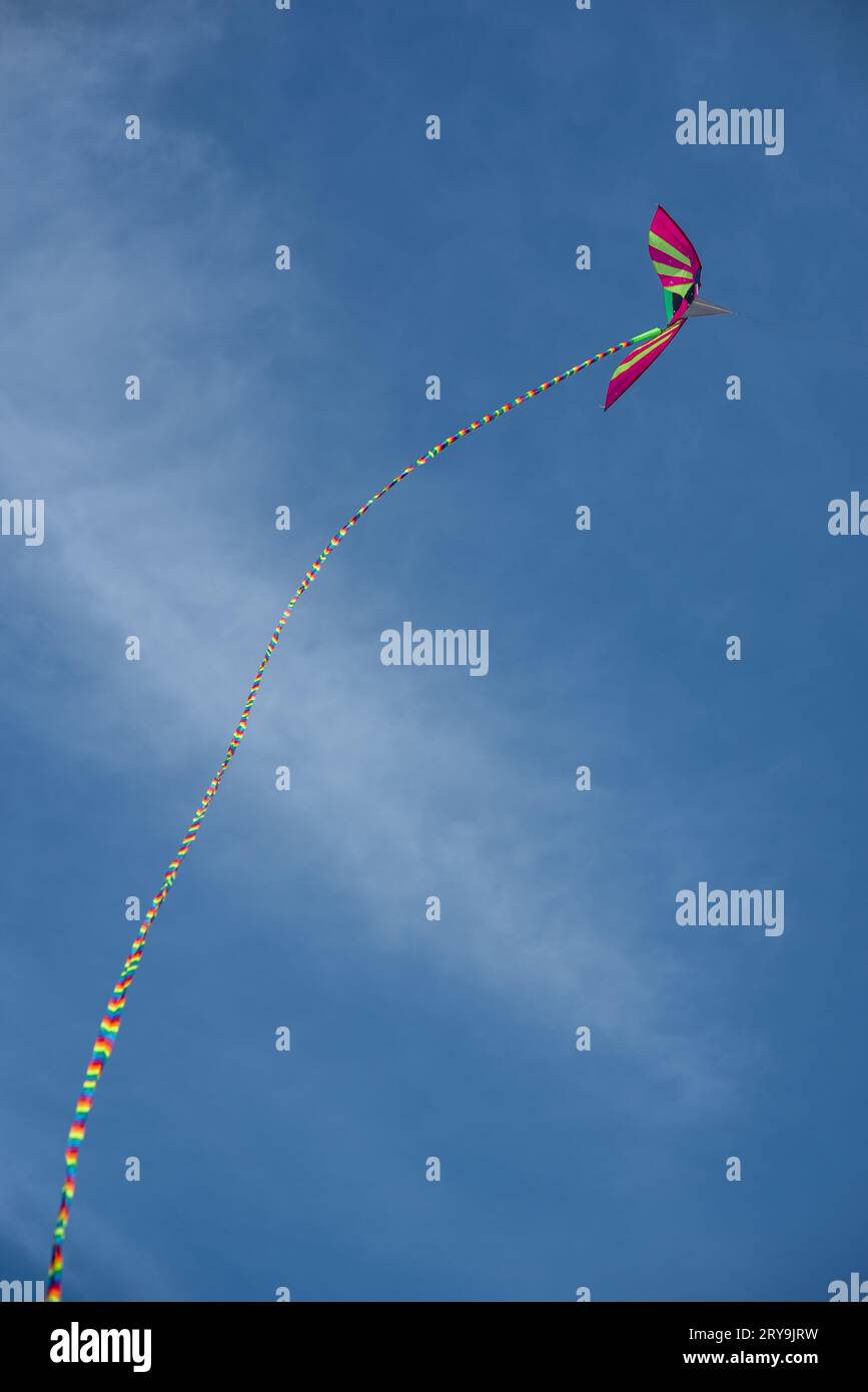 Colorful Asian silk kite flying against the blue sky Stock Photo Alamy