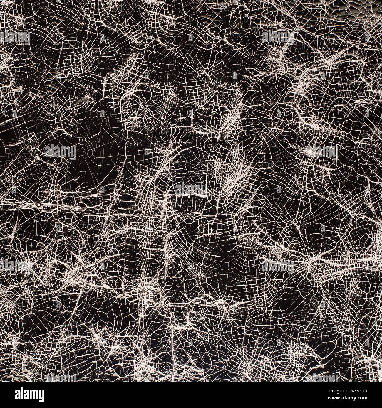 Natural qualitative black leather texture. Close up. Stock Photo