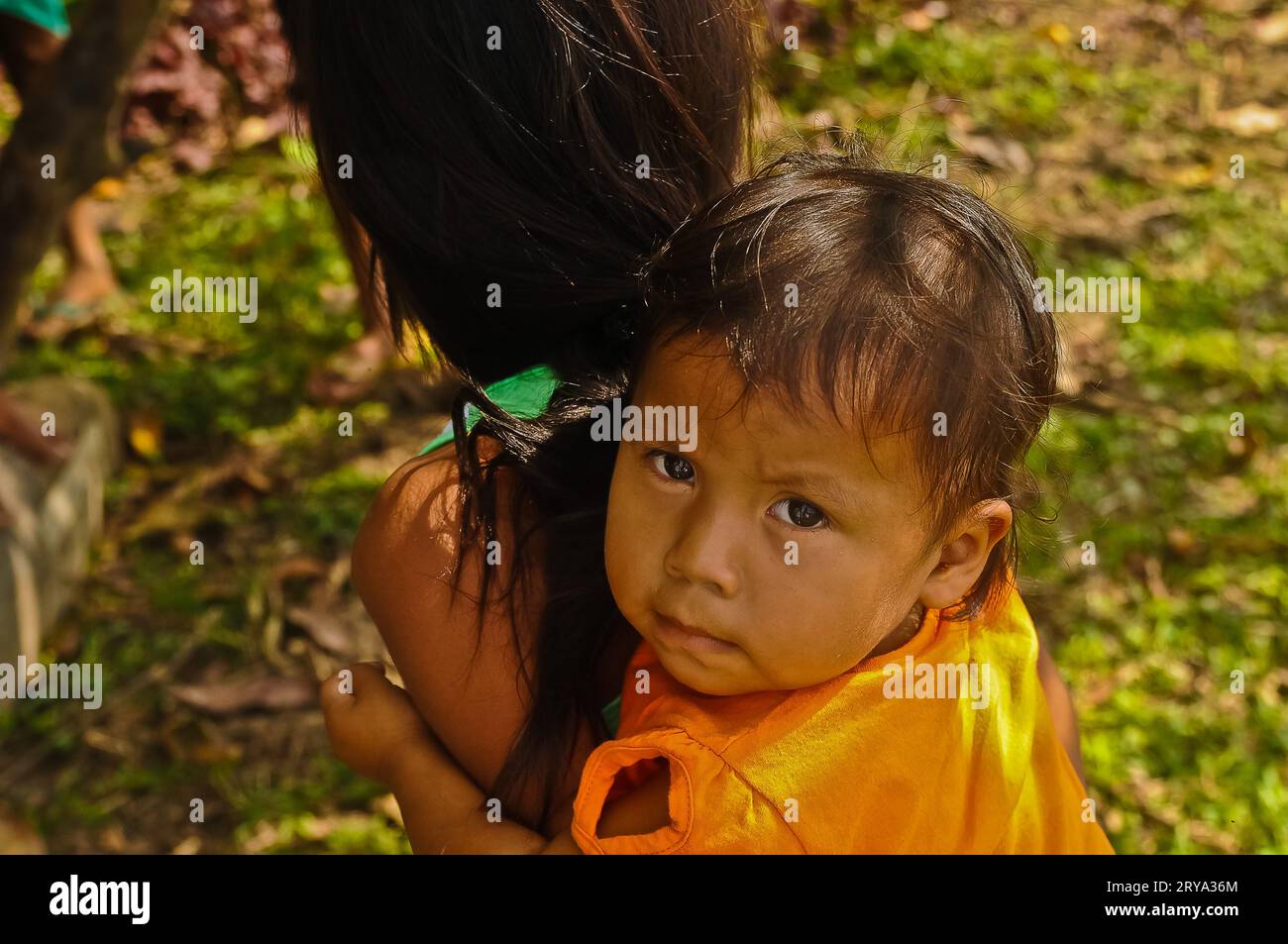 Amazonian chores hires stock photography and images Alamy