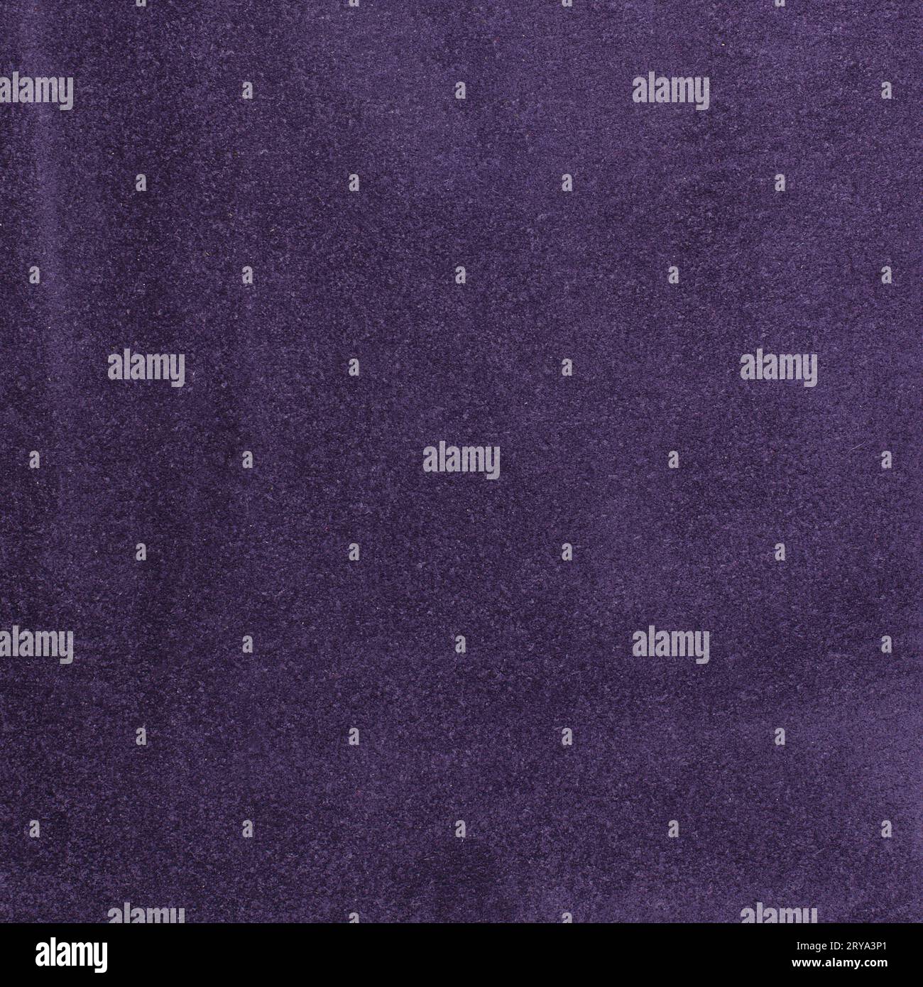 Purple animal hi-res stock photography and images - Alamy