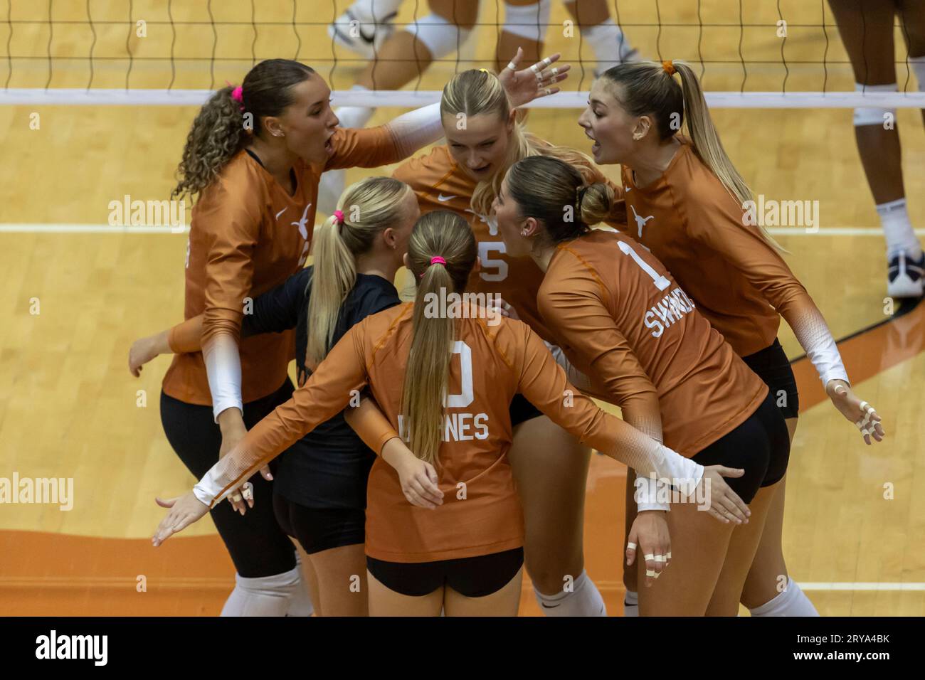 AUSTIN, TX - SEPTEMBER 29: Texas Longhorns players celebrate a point ...