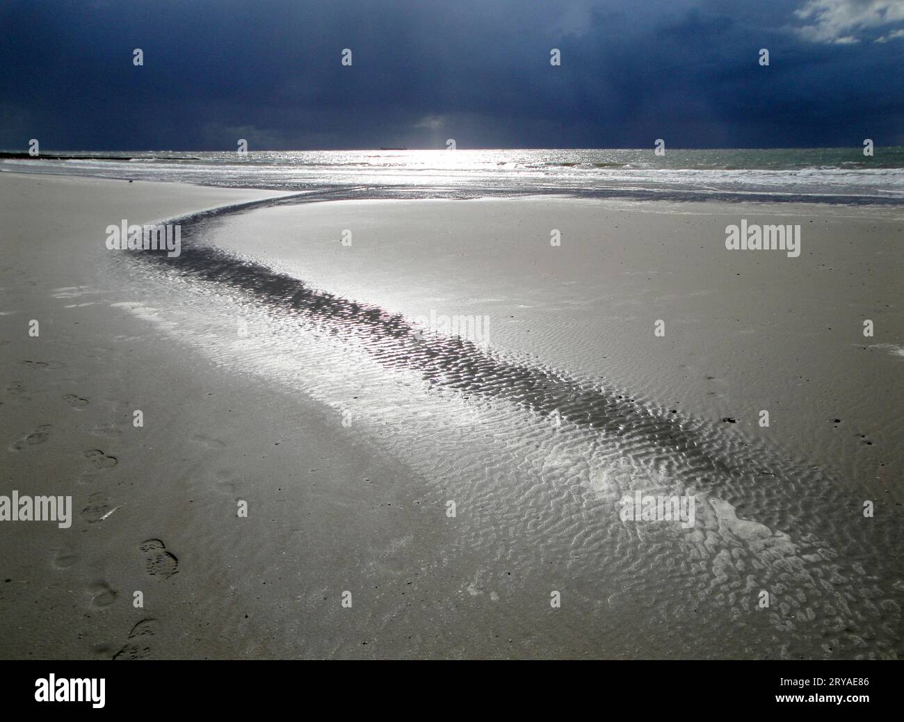 Gewitterstimmung an der Nordsee; drohend schwarze Wolken, Strand glänzt in letzten Sonnenstrahlen * dark storm clouds looming over sunny beach Stock Photo